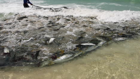 Pesca-Artesanal-En-Bahía-Falsa