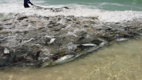 pesca artesanal en bahía falsa