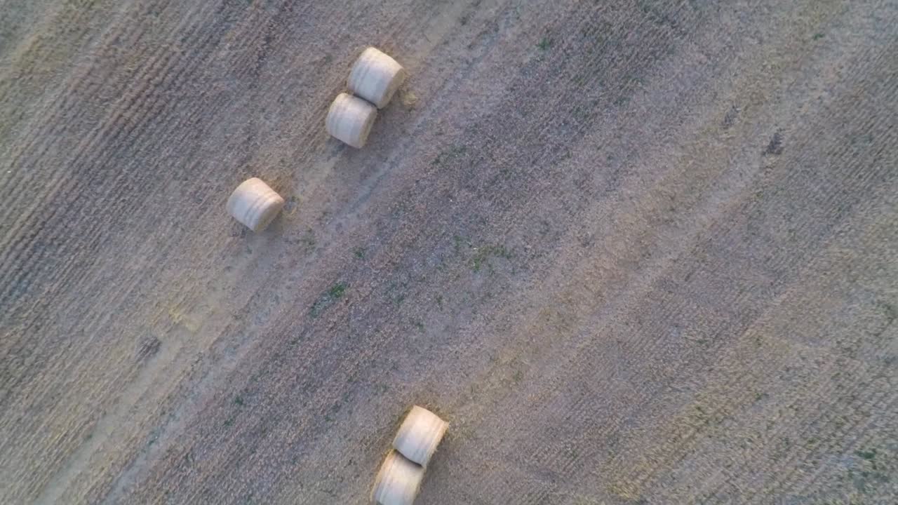 volando lentamente en espiral desde las tierras de cultivo para revelar más campos ondulados y pacas de heno