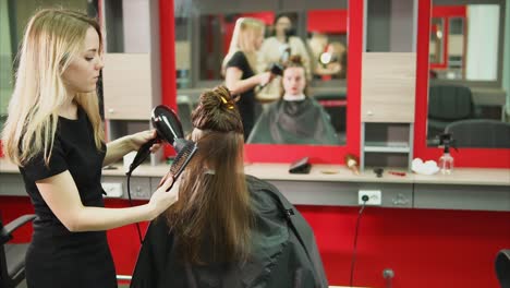 hair salon - hair styling session