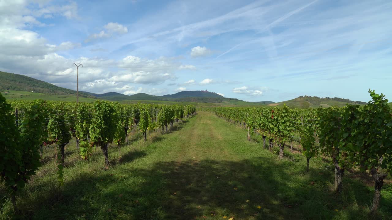 castillo de haut-koenigsbourg en las colinas en las afueras de ribeauvillé