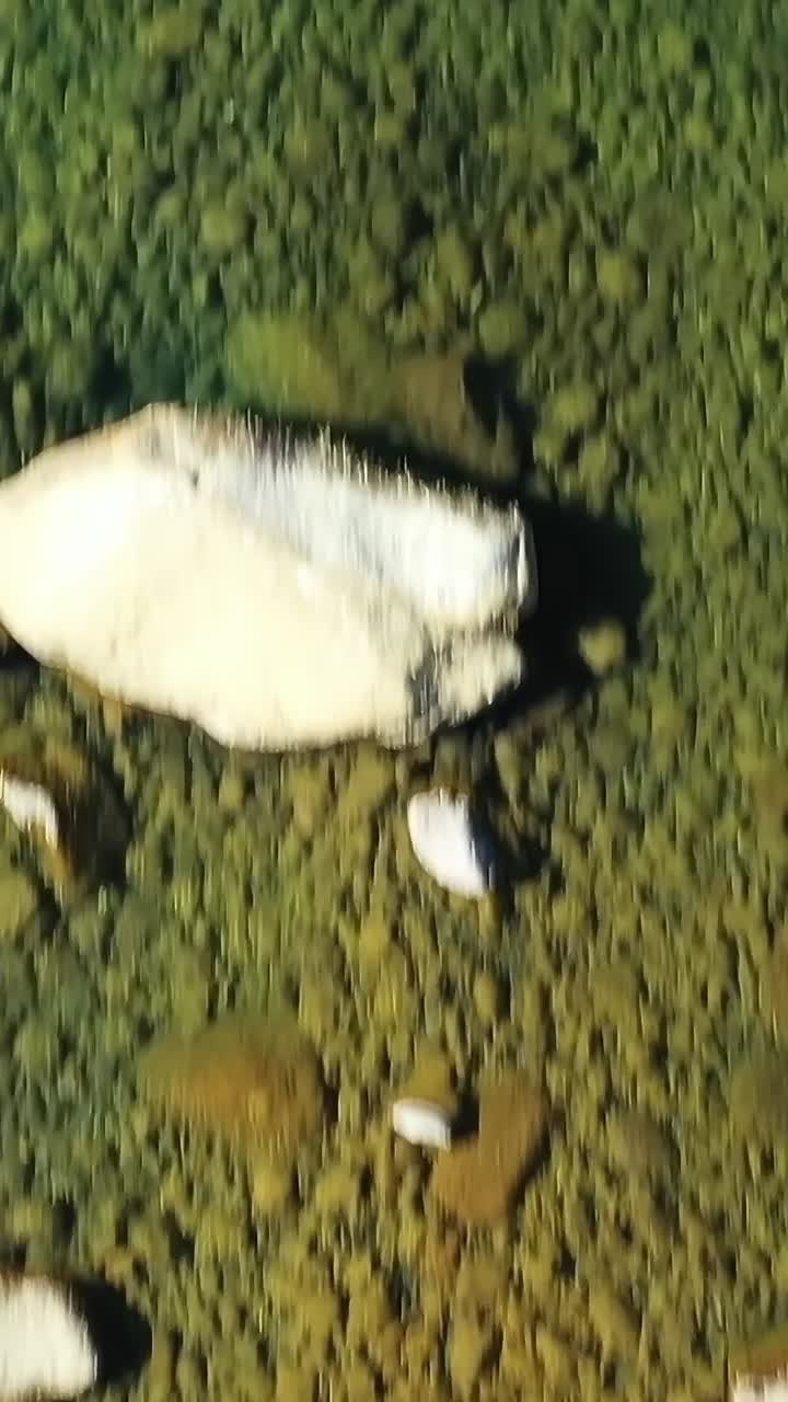 L'area del Lago Colbún in Cile con paesaggio verde e terreno roccioso.
