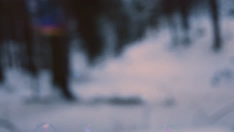 rainbow colored soap bubbles flying suspended in the air, with a snowy forest in the background