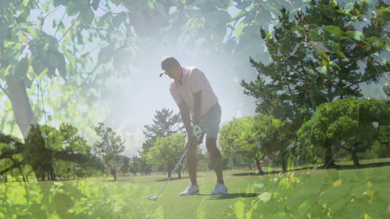 골프 코스에서 골프를 치는 고위 백인 남성 위의 나무의 애니메이션