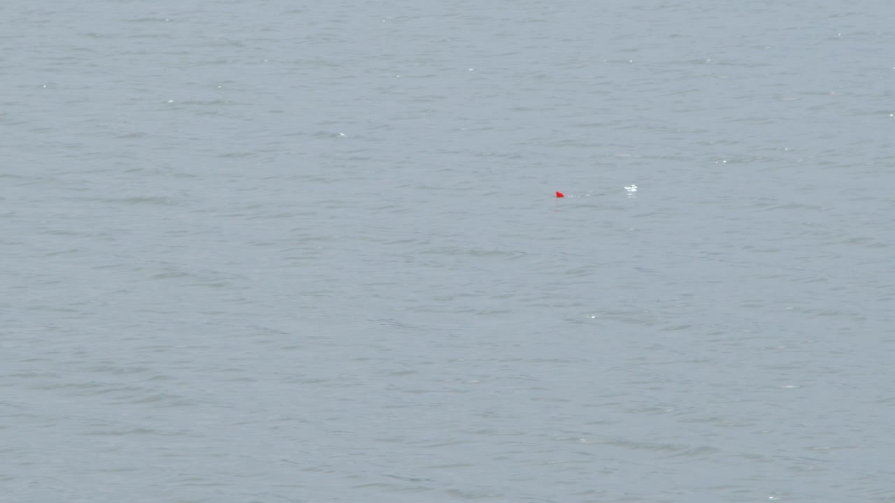 A Fishing Bobber Floating On The Calm Lake. Wide Shot