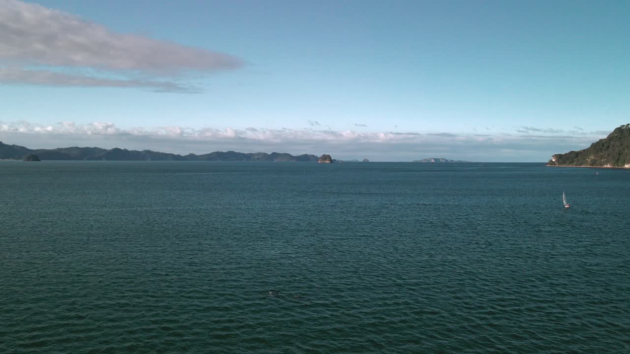뉴질랜드 코로만델 지역을 통한 오후 항해