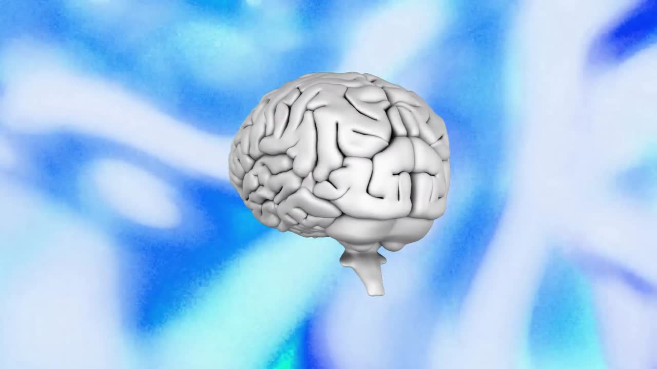 animación del cerebro humano girando sobre un fondo con patrones azules