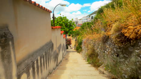 downward view of a narrow pathway in gibraltar lined with traditional stone walls, greenery, and mediterranean architecture