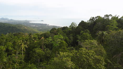 beautiful landscape of untouched wild hilltop, koh samui, thailand