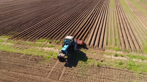 agricultural work on a tractor farmer sows grain. hungry birds are flying behind the tractor, and eat grain from the arable land.