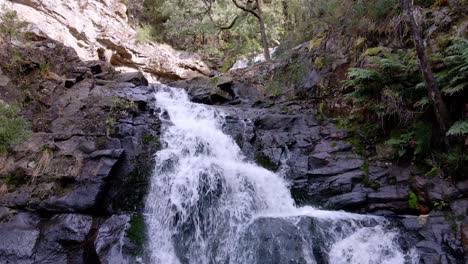 vista de cerca de la cascada de las cataratas forth en wilmot, tasmania, australia
