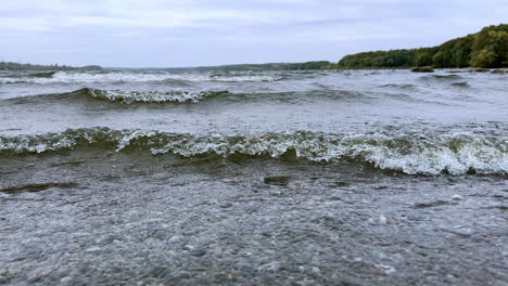 little waves on the river rolling to the shore. forest growing on the waterfront at backdrop.
