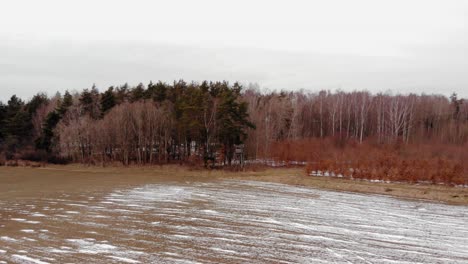 thick forest and vacant farmland in the village of buszkowy gorne, poland