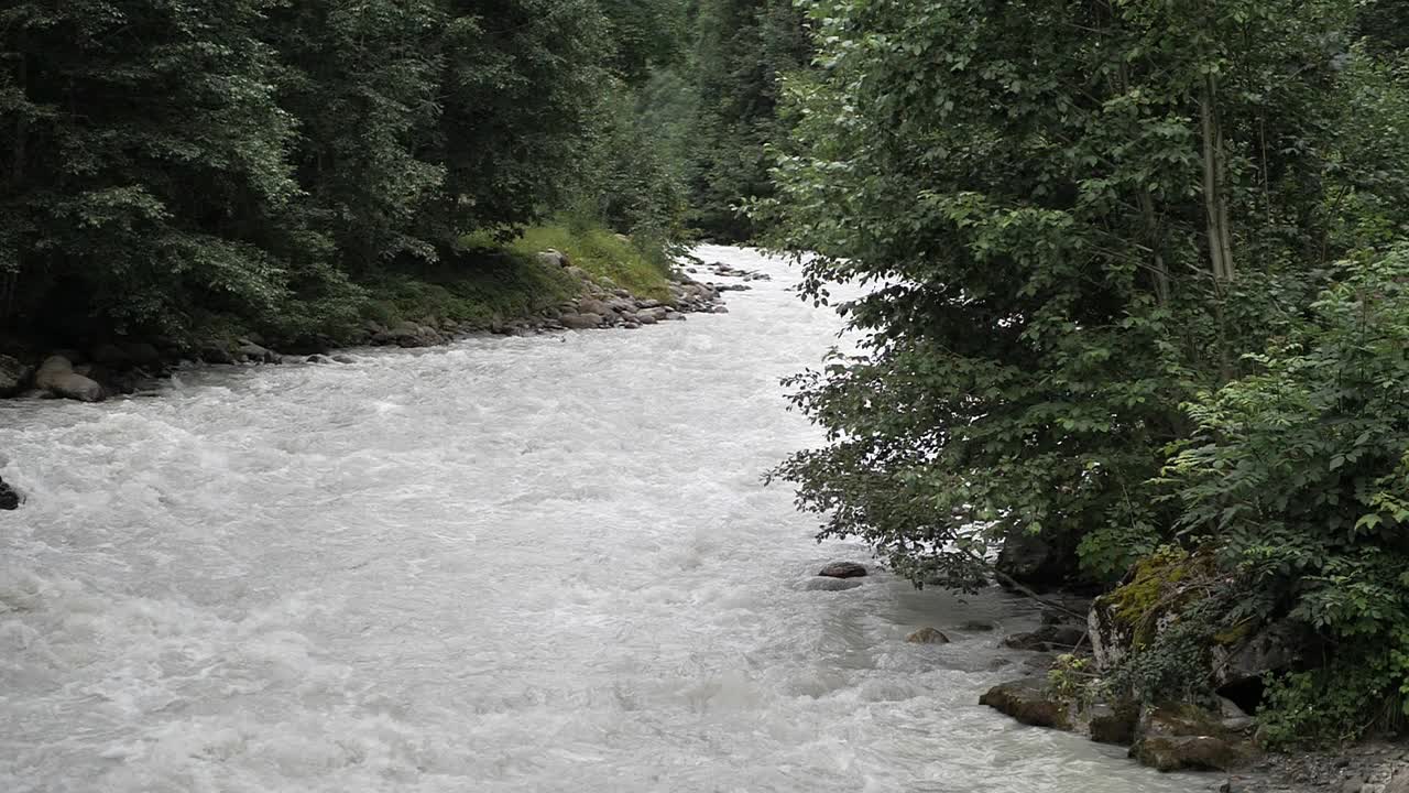 Piccolo fiume di acqua grigia sciolta che scorre e si infrange sulle rocce mentre piante verdi e alberi crescono ai lati. Ripresa grandangolare al rallentatore
