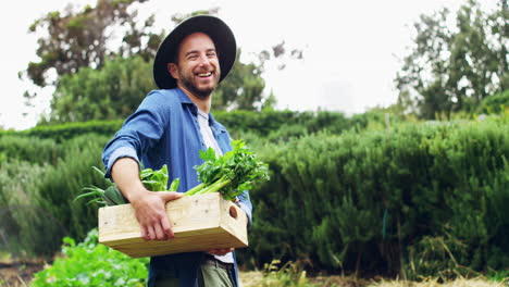 i've got your organic produce covered