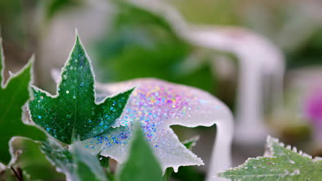 glittering frozen leaves