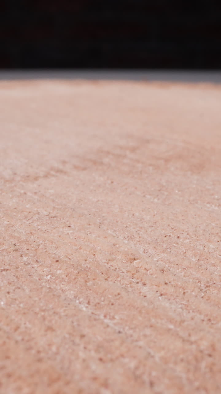 Plain saw cut of birch tree on black background macro view. Wooden texture of light natural timber. Carpentry material processing in workshop
