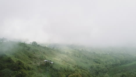 Rain-forest-vegetation,-claudy-high-area-at-el-choco-andino-area-in-the-Ecuatorian-Andes