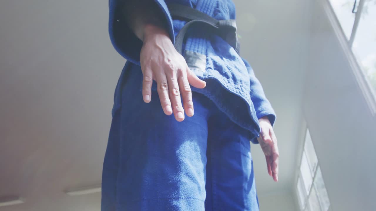 낮은 각도의 카라테카가 매트 위에 포즈를 취하고 있습니다.