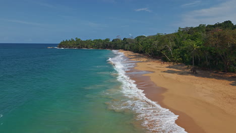 bluff beach on colon island, bocas del toro, panama - tropical beach with golden sand and foamy turquoise waves splashing. drone shot
