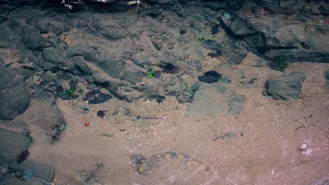 Throwing-pebble-in-a-clear-river-stream