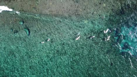 bird's eye shot of surfers waiting to catch an unbroken wave in siargao island