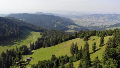 serene alpine pasture landscape of wildspitz mountain in switzerland, aerial