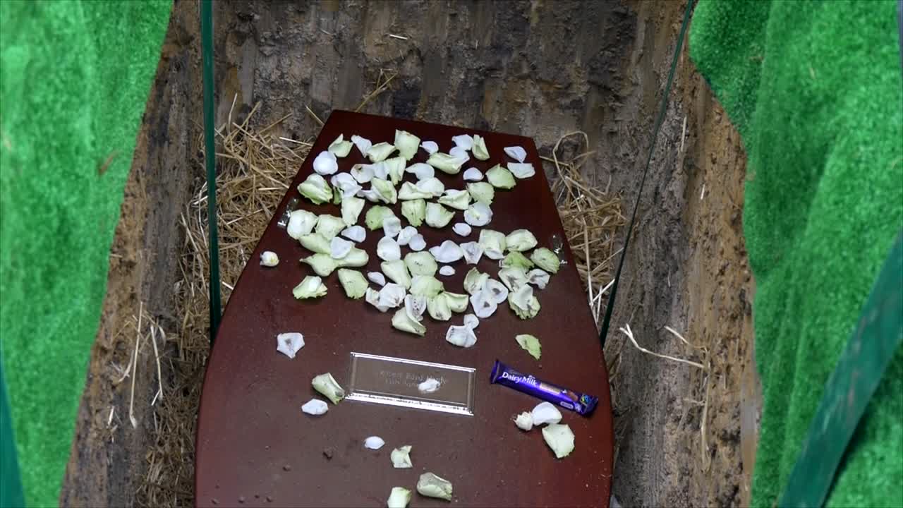 영구차나 예배당에 있는 장례식 관의 클로즈업 샷 또는 묘지의 매장