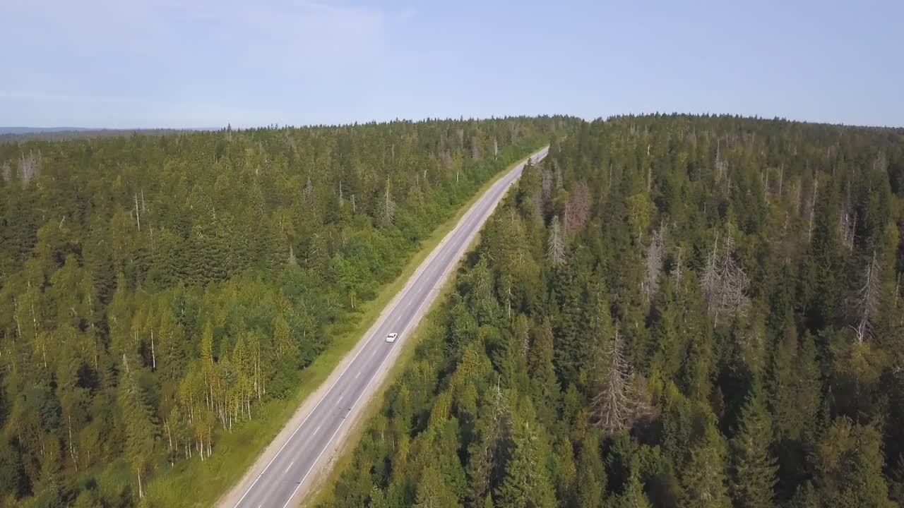 숲 을 가로지르는 도로 의 공중 사진