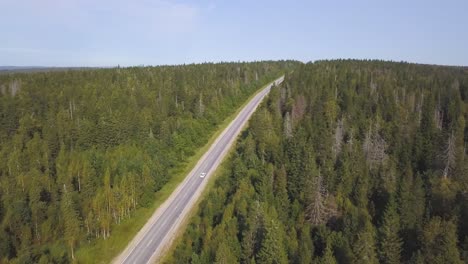 aerial view of a road through a forest