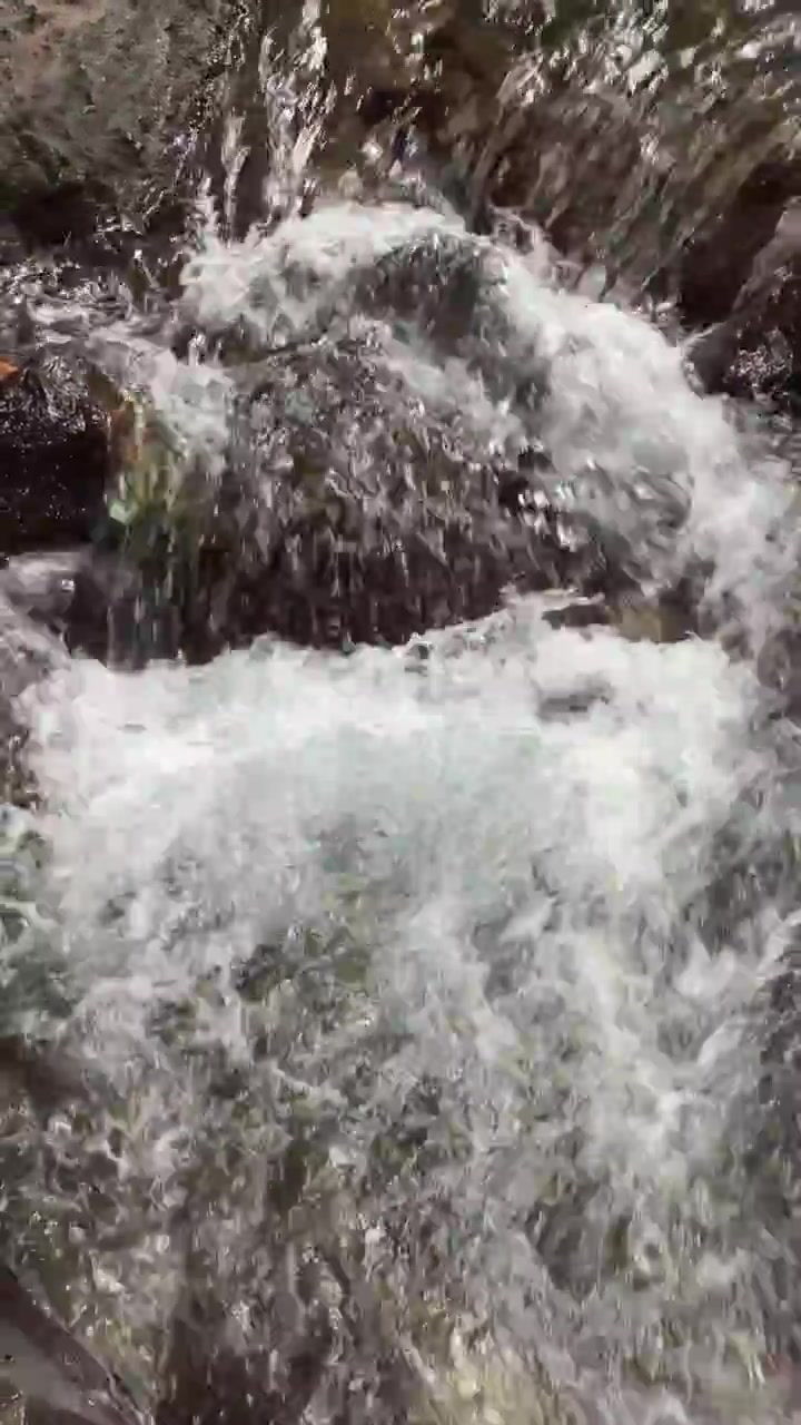 Limpido torrente di montagna che scorre su rocce scure