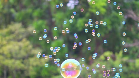 soap bubbles floating in the air with natural green blurred bokeh background for children and kids