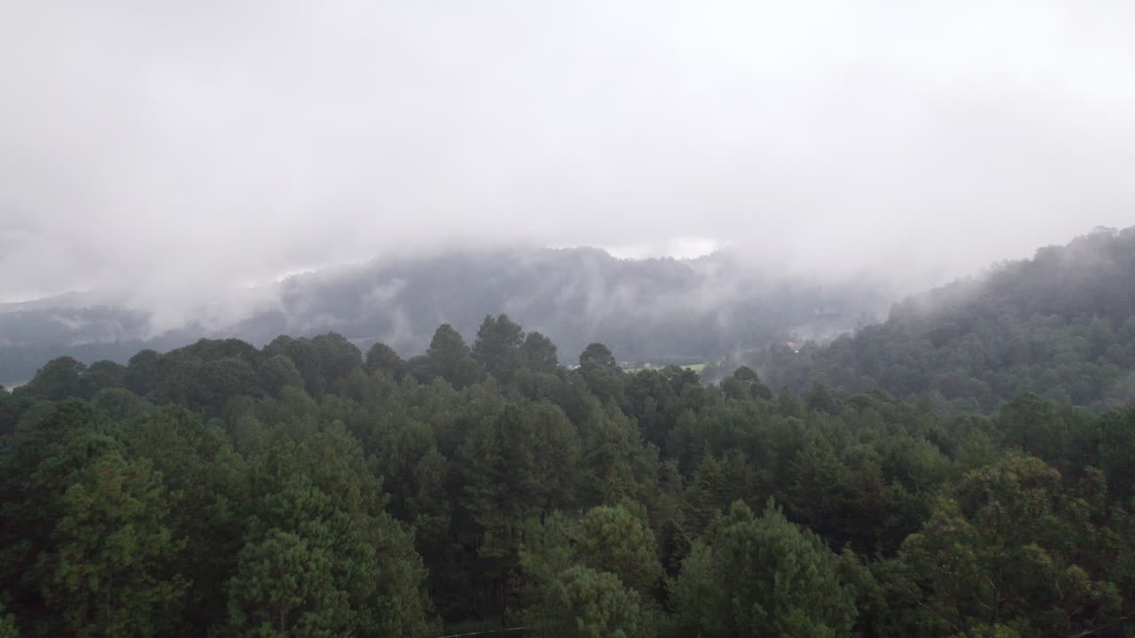 멕시코 발레 데 브라보 (valle de bravo) 의 배경 에 산 들 이 있는 높고 잎이 많은 나무 들 위 에서 구름 과 안개 를 통해 비행