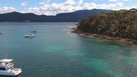 aerial reveal of boats and rocky shoreline of pirates bay in tasmania