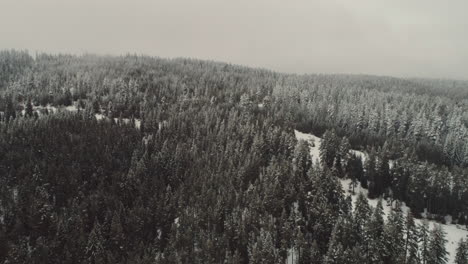 Flug-über-Einen-Schneebedeckten-Berg