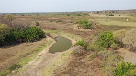 aerial view of dry swamp during severe drought in pantanal, brazil