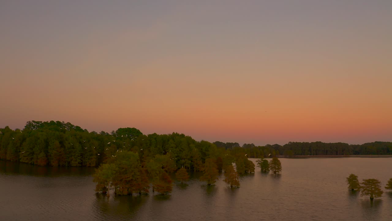 High altitude video of a beautiful sunset at stumpy lake Virginia with birds flying amidst the trees