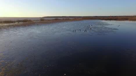 Lago-Tranquilo-Burtnieks-Con-Poco-Hielo-Y-Alto-Nivel-De-Agua-En-Primavera-Vista-Aérea