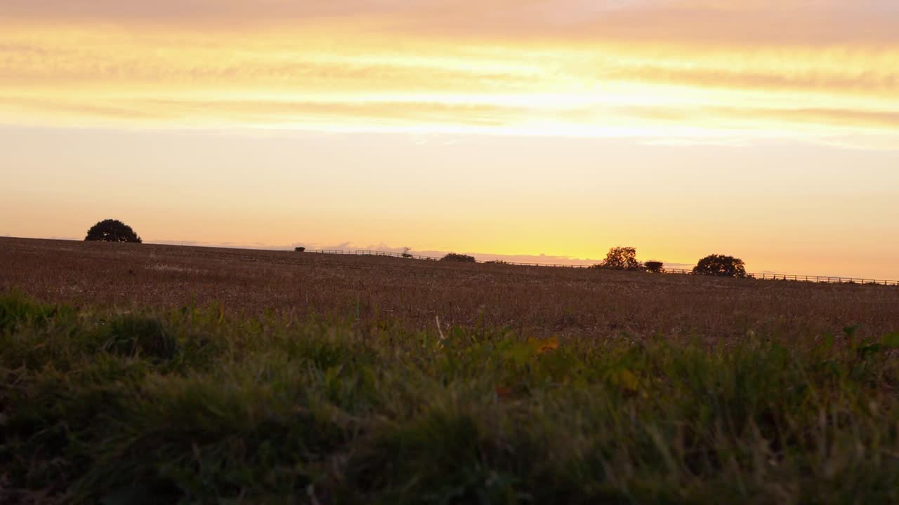 Sunset over farmers field with fencing silhouette in the distance