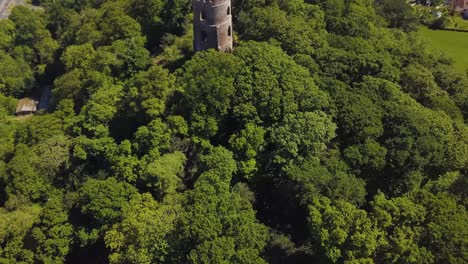 aerial view of the dunster conygar tower and surrounding areas full of trees near dunster castle, somerset, england