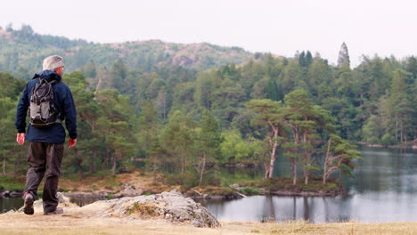 Senior-Caucasian-man-walks-into-the-left-side-of-shot-to-admire-the-lakeside-view,-back-view,-Lake-District,-UK