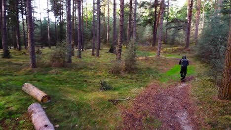 Man-hiking-in-the-forest,-aerial-following-shot