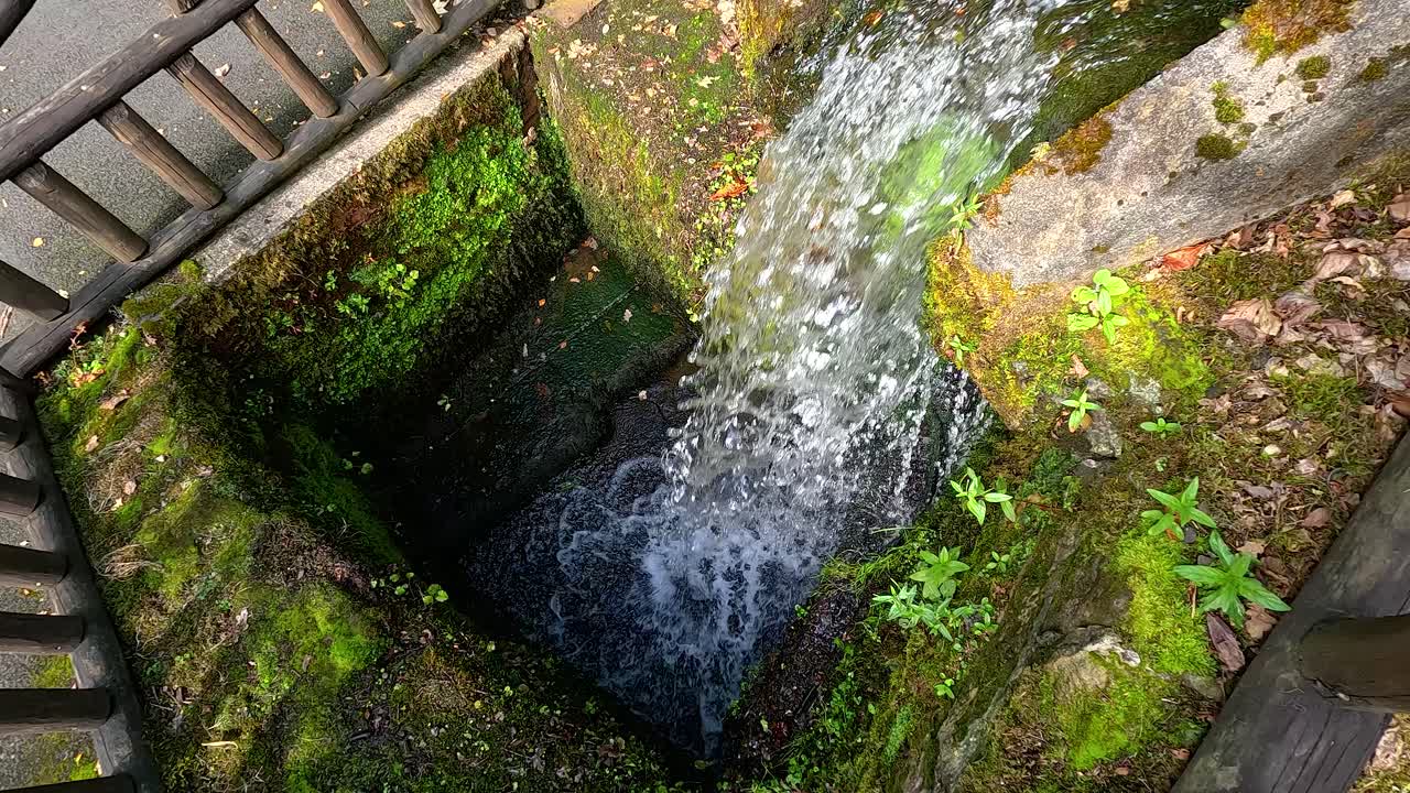 Water flowing into a mossy stone basin