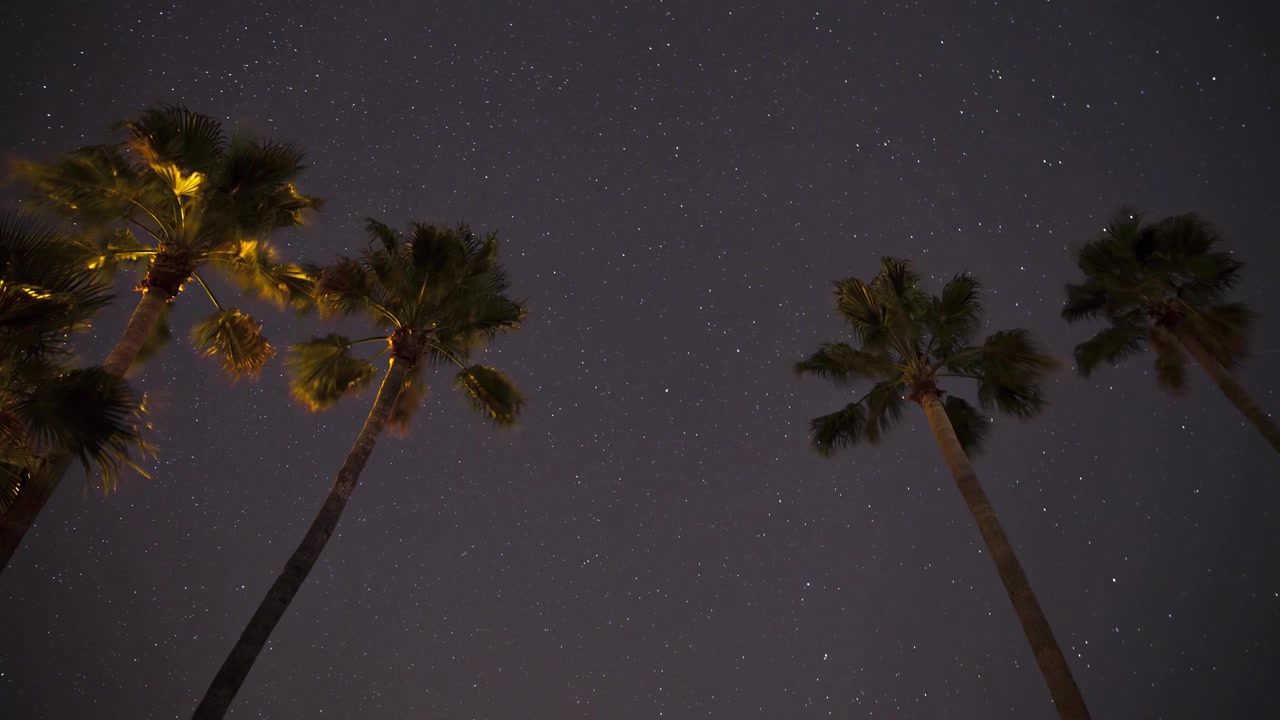Le stelle ruotano dietro alte palme prima che il cielo notturno si schiarisca con l'avvicinarsi dell'alba.