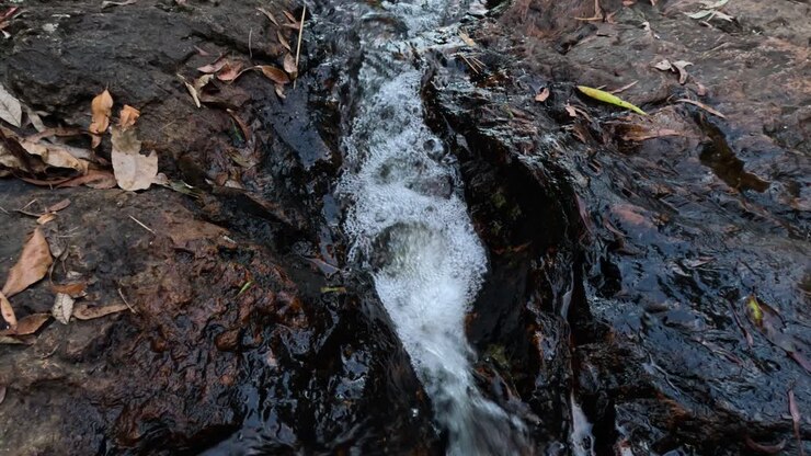 Acqua che scorre attraverso un terreno roccioso con foglie cadute