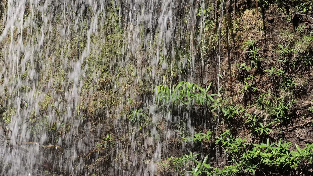 Water cascading down a moss-covered rocky wall