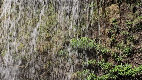water cascading down a moss-covered rocky wall