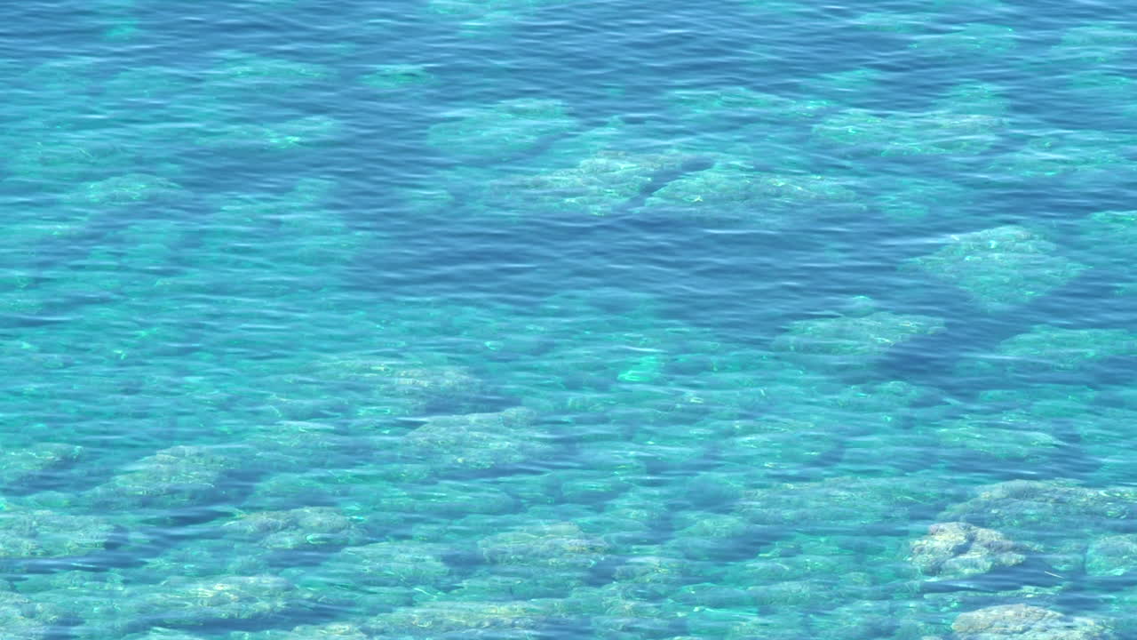 mar tropical de verano