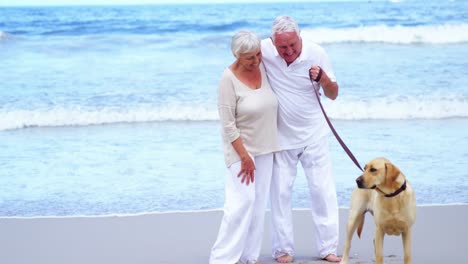 Glückliches-älteres-Paar,-Das-Mit-Hund-Am-Strand-Spielt