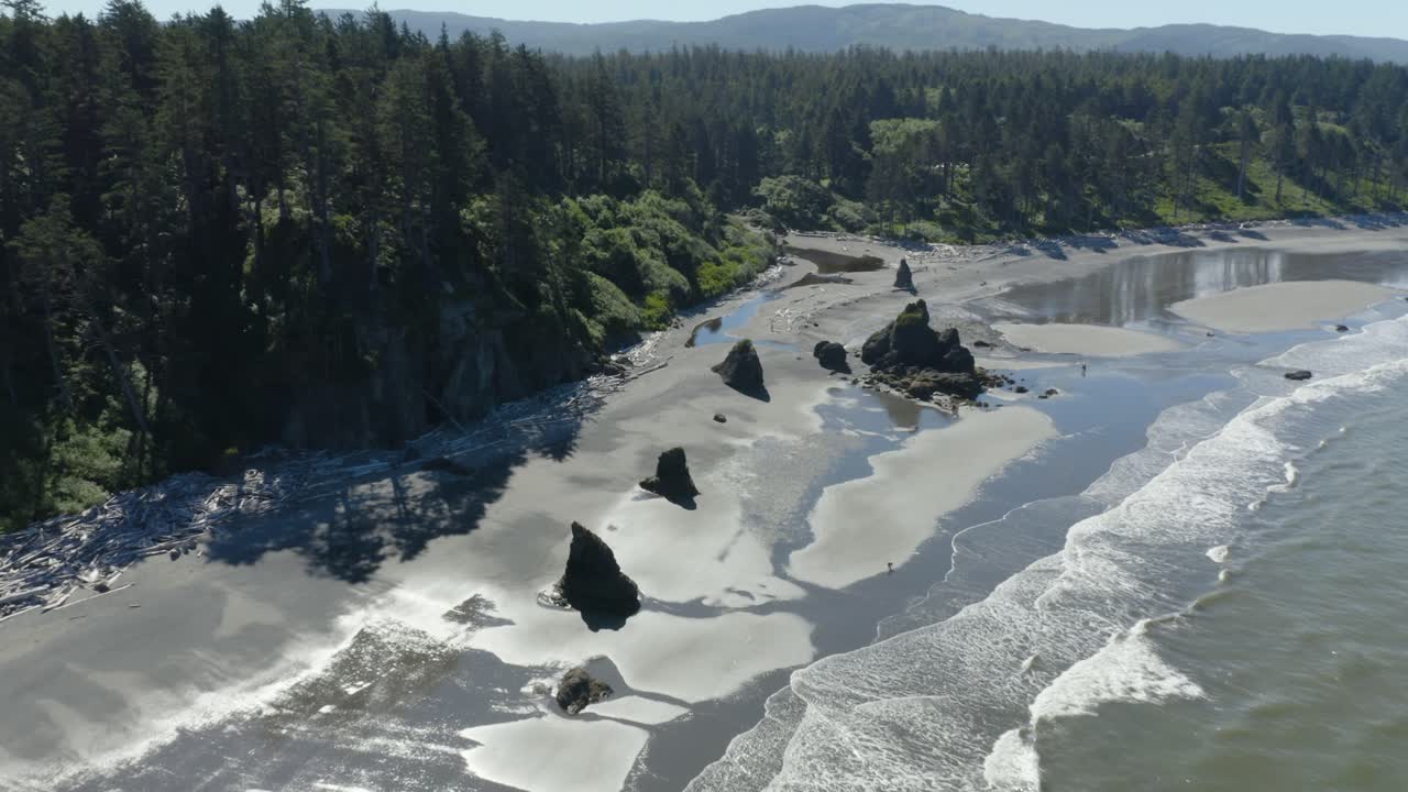 Veduta aerea di rocce sulla spiaggia costiera di Ruby Beach nello stato di Washington, pomeriggio d'estate